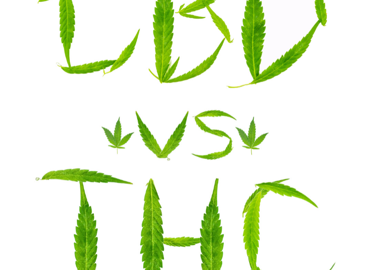 CBD vs. THC: Key Differences and Benefits