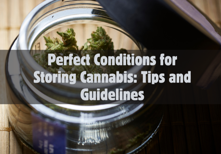 Perfect Conditions for Storing Cannabis: Tips and Guidelines