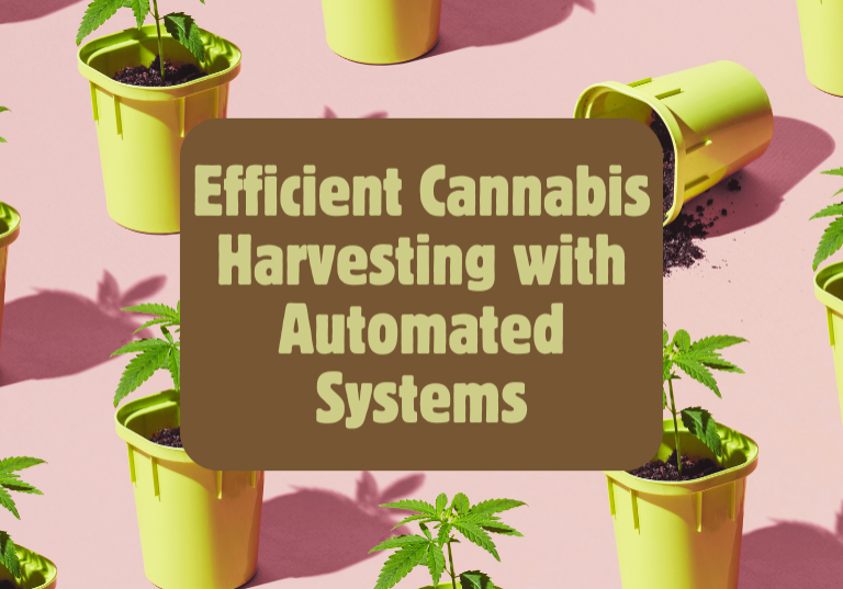 Efficient Cannabis Harvesting with Automated Systems