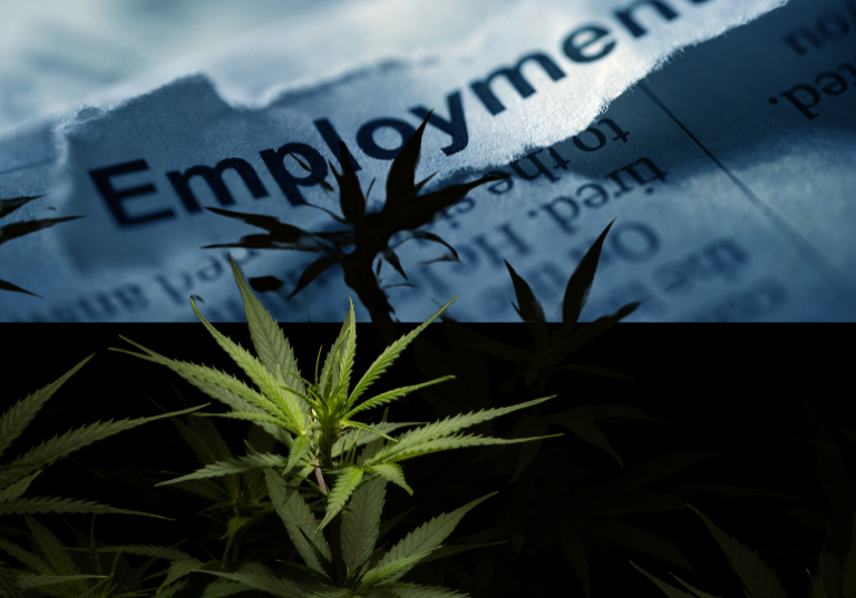 Exploring the Causes of High Employment Claims in Cannabis Firms