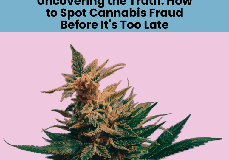 Uncovering the Truth How to Spot Cannabis Fraud Before It's Too Late