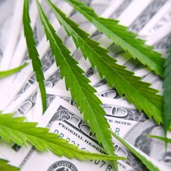 Green cannabis leaves, marijuana on the background of hundred US dollars money. Hemp, ganja leaf. Business concept, marijuana drug sales, revenue and profits in growing medical cannabis. CBD product