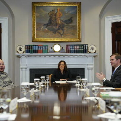 Flanked by US musician Fat Joe (L) and Kentucky Governor Andy Beshear (R), US Vice President Kamala Harris (C) speaks during a roundtable conversation about marijuana reform and criminal justice reform, in the Roosevelt Room of the White House on March 15, 2024 in Washington, DC. (Photo by Kent Nishimura / AFP) (Photo by KENT NISHIMURA/AFP via Getty Images)