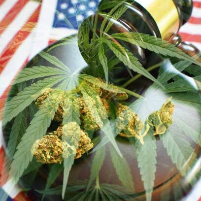 Marijuana Laws In The USA Concept