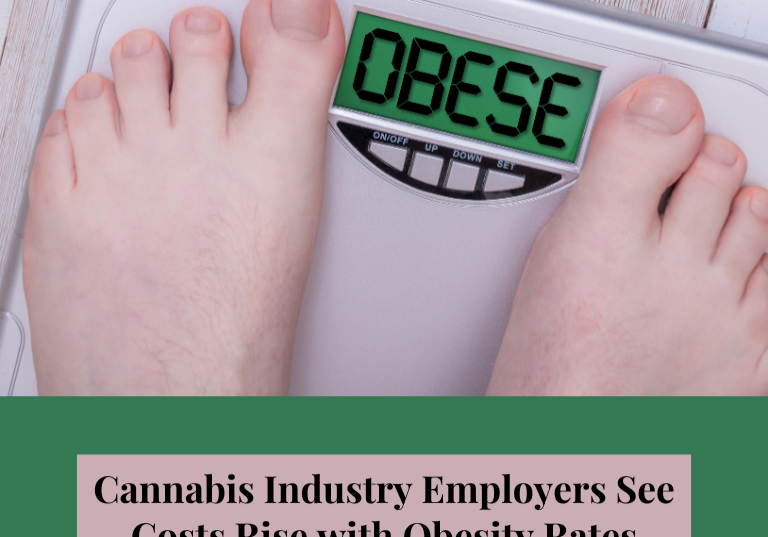 Cannabis Industry Employers See Costs Rise with Obesity Rates