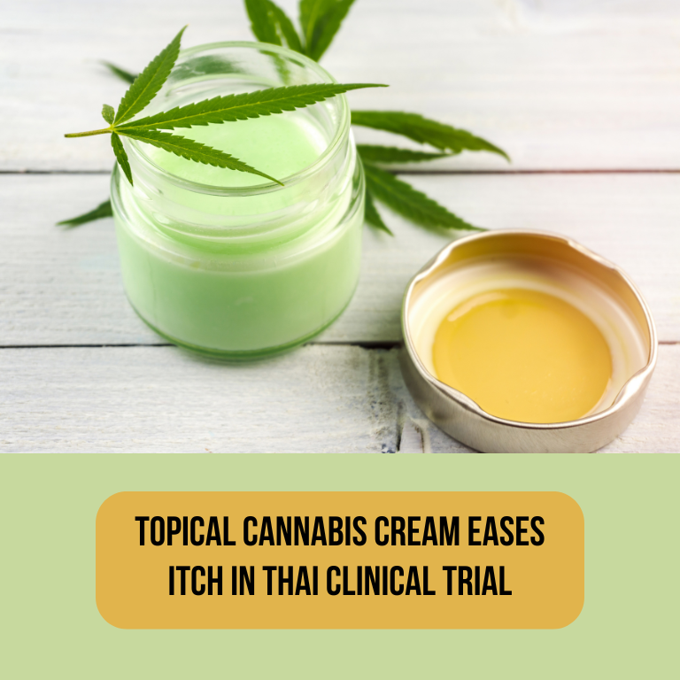 Topical Cannabis Cream Eases Itch in Thai Clinical Trial