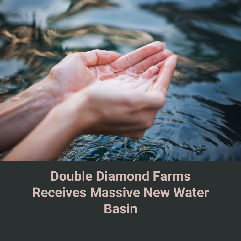 Double Diamond Farms Receives Massive New Water Basin