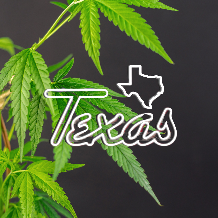 Delta-8 Hemp vs. Texas Medical Cannabis: Legislative Showdown