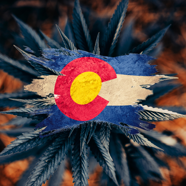 Colorado and Washington: Cannabis Regulation Success Stories