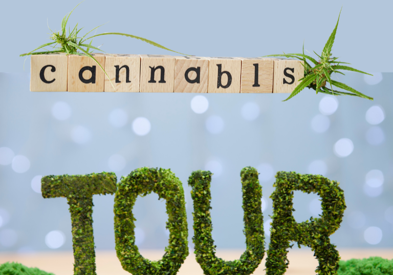 Digital Access to Cannabis Facilities: Virtual Tours Explained