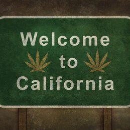 welcome-california-cannabis-leaf-symbol-260nw-514358182