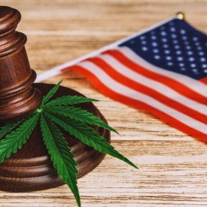 Green fresh cannabis leaf lying down on sound block under gavel over USA flag on wooden table.