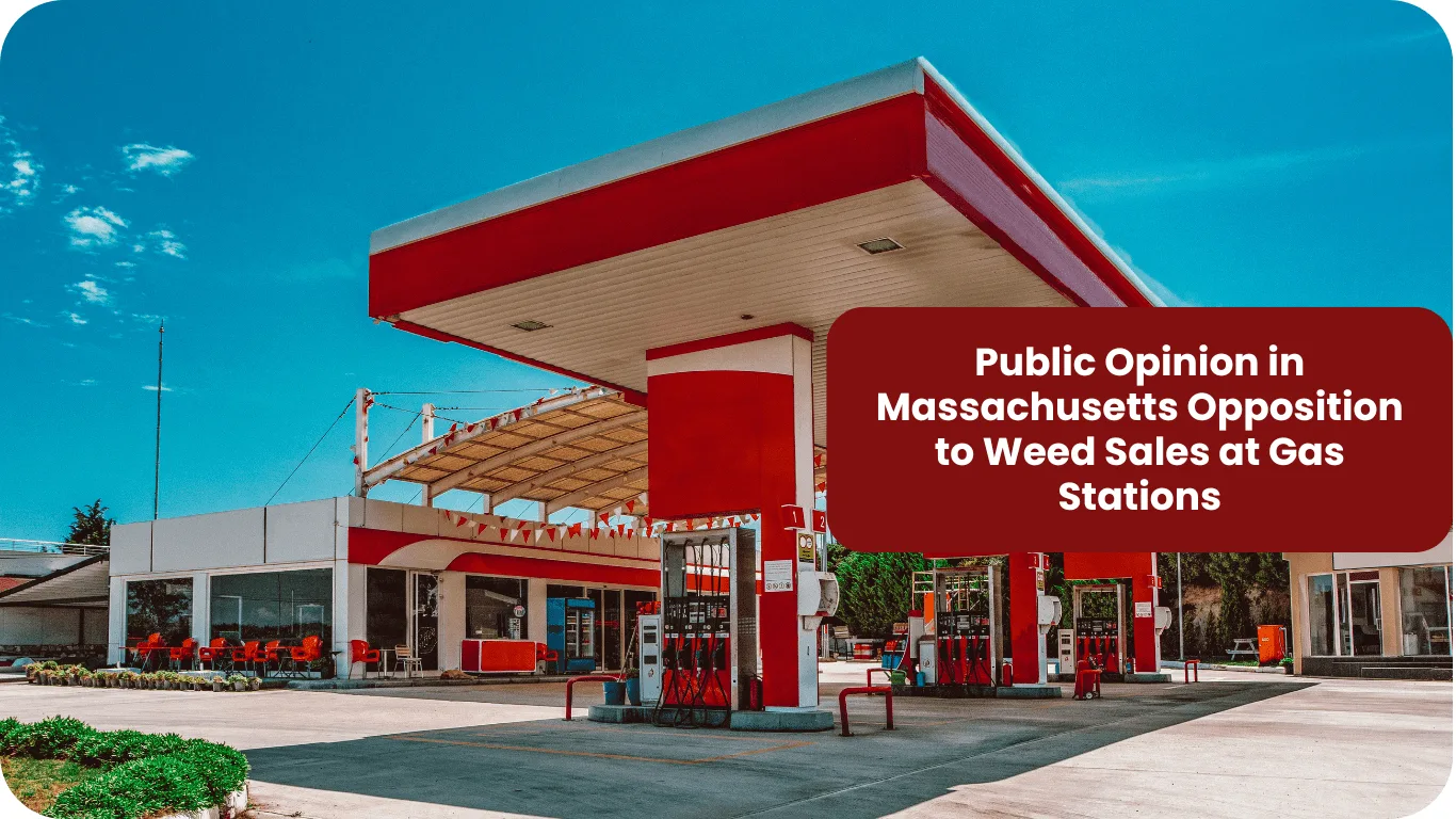 Public Opinion in Massachusetts: Opposition to Cannabis Sales at Gas Stations