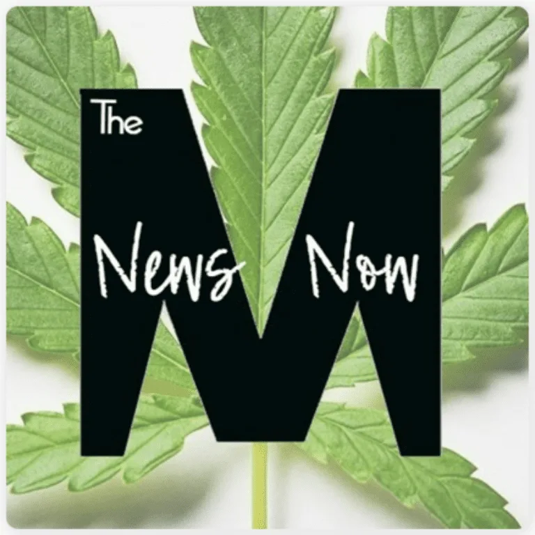 The M News Now