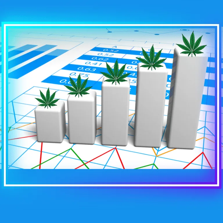 Cannabis Sector Thrives as New Weed Law Takes Effect