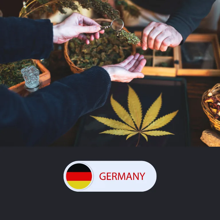 Germany’s Growing Cannabis Market Faces Overproduction