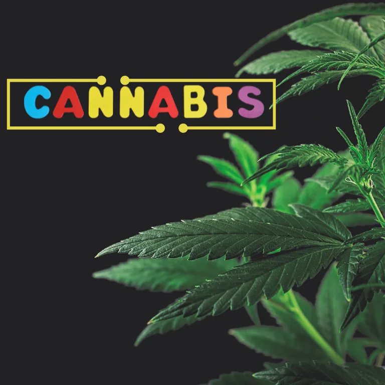 New Hawaii Task Force to Address Cannabis Conviction Relief