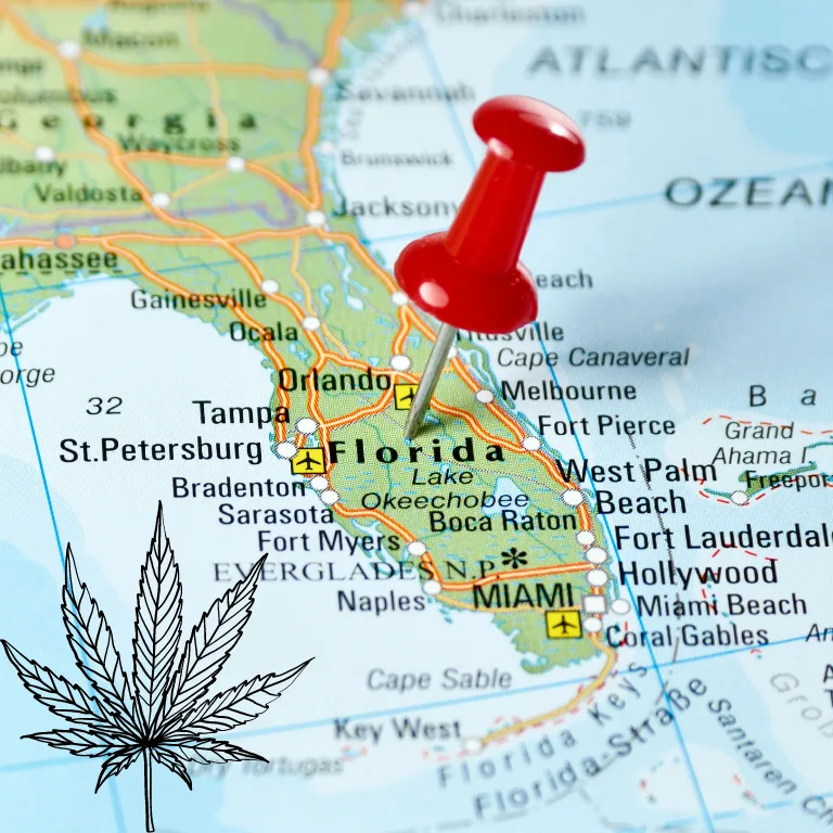 Florida Police Oppose Recreational Weed; Supporters Cite Costs