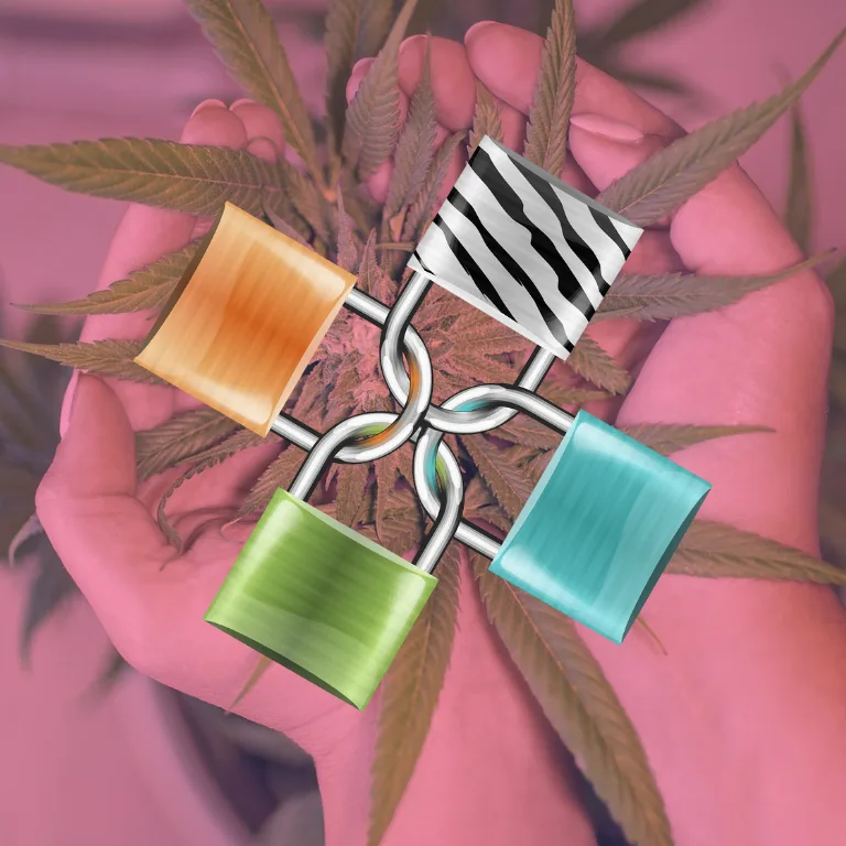 Essential Security Solutions for Cannabis Operations