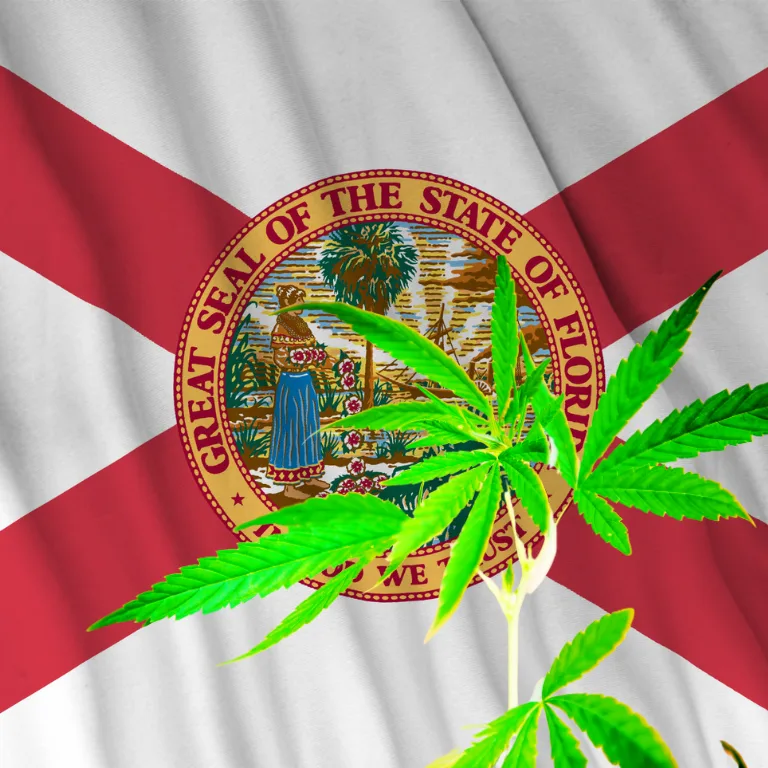 Florida’s Future: Recreational Cannabis on the Horizon?