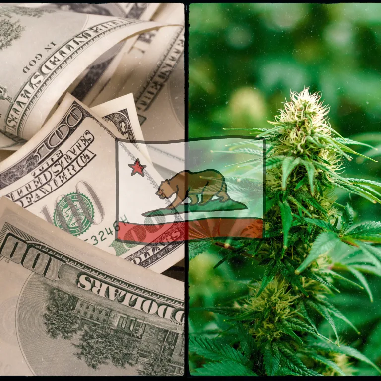 California Seizes $120M in Illegal Cannabis in 2023 Crackdown