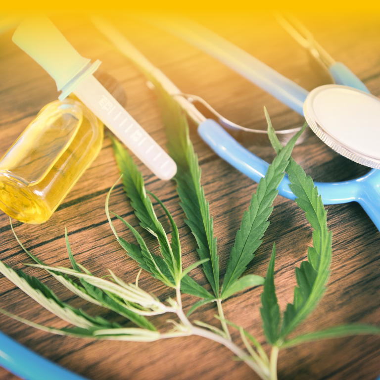 Medical Cannabis Revisited: North Carolina’s Potential Legalization Efforts