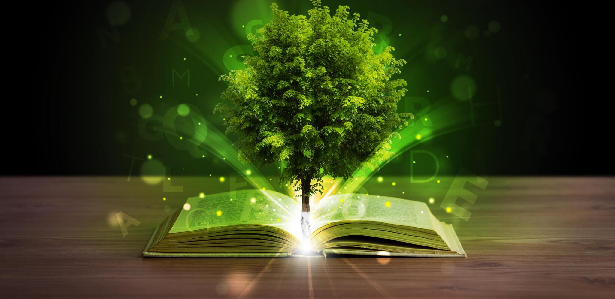 High Times: Exploring America’s Cannabis Culture with the Ultimate Travel Guide