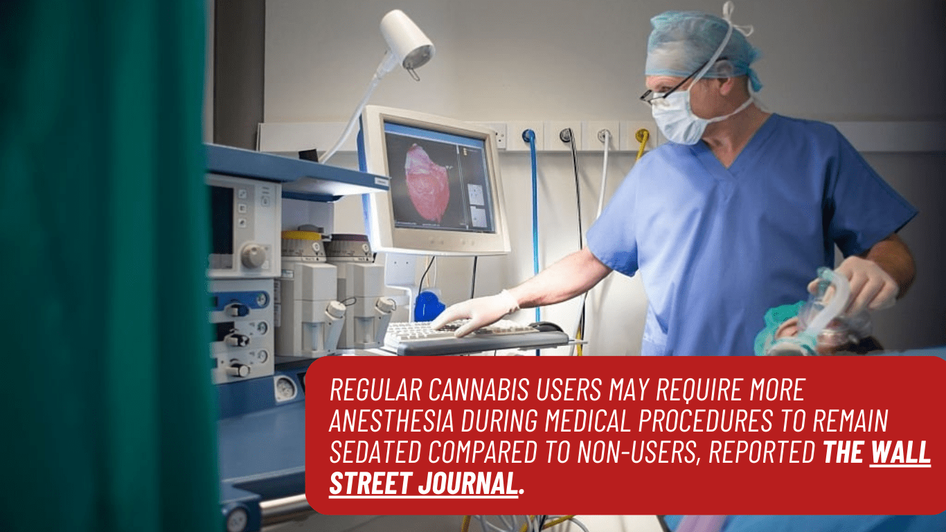 Anesthesia Needs for Cannabis Users: Study Highlights Potential Impact on Medical Practices