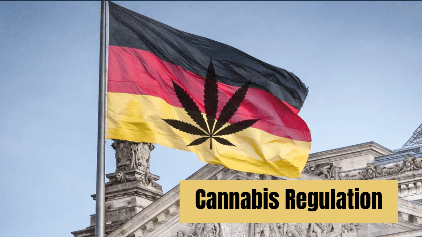 High Stakes: Cannabis Debate Clouds Germany’s Oktoberfest
