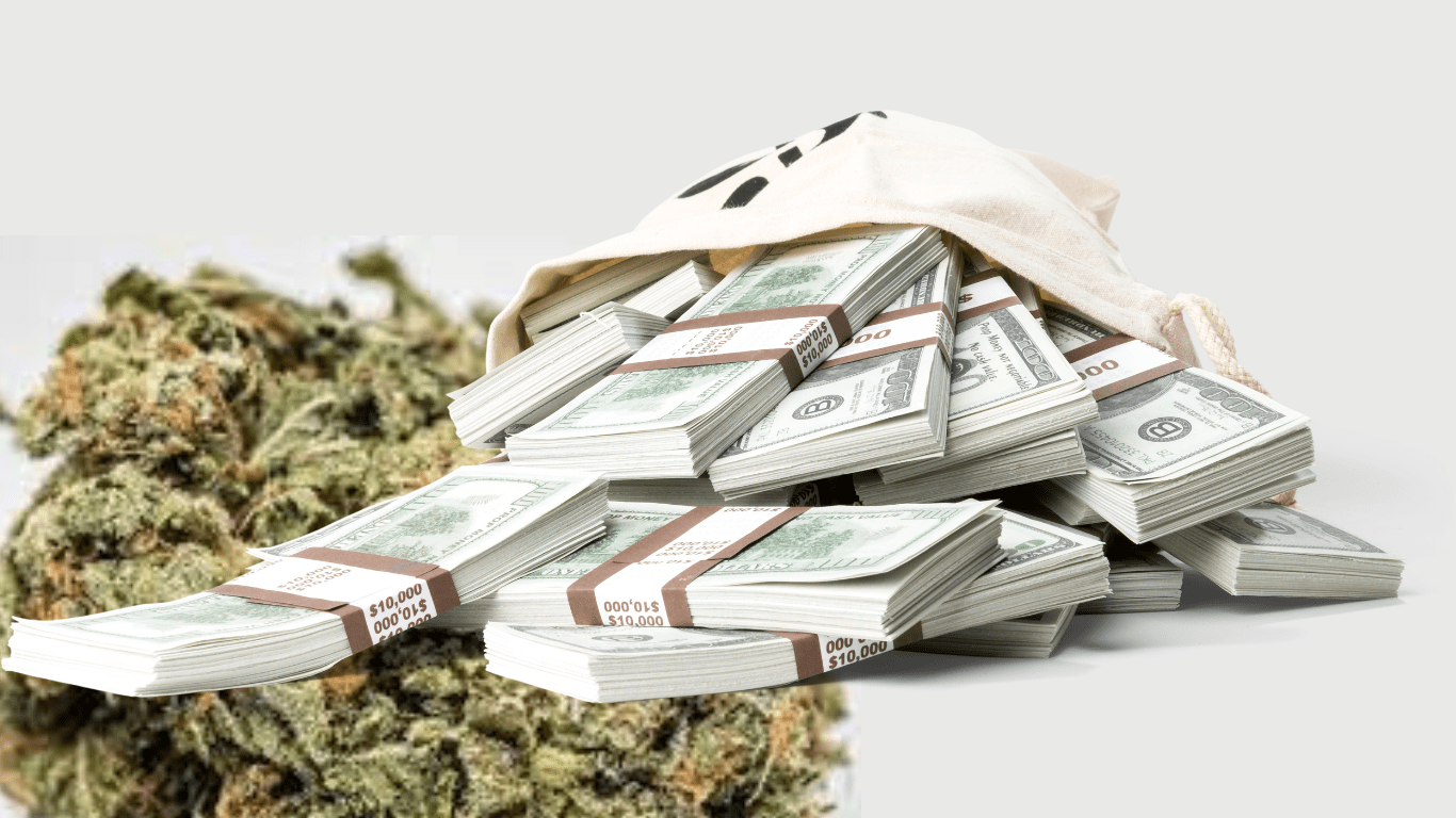 Cultivating Knowledge: Highbridge Students Dive into Cannabis Education