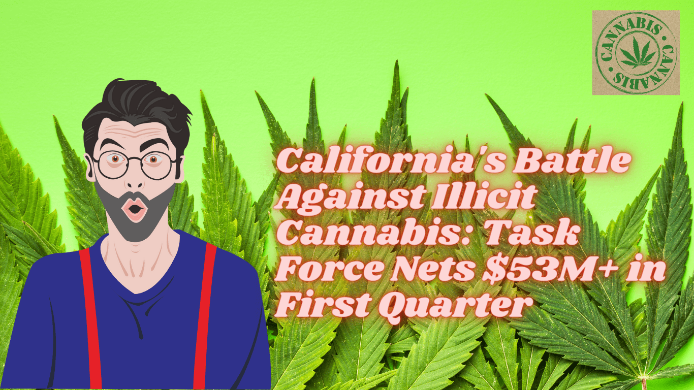 California’s Battle Against Illicit Cannabis: Task Force Nets $53M+ in First Quarter