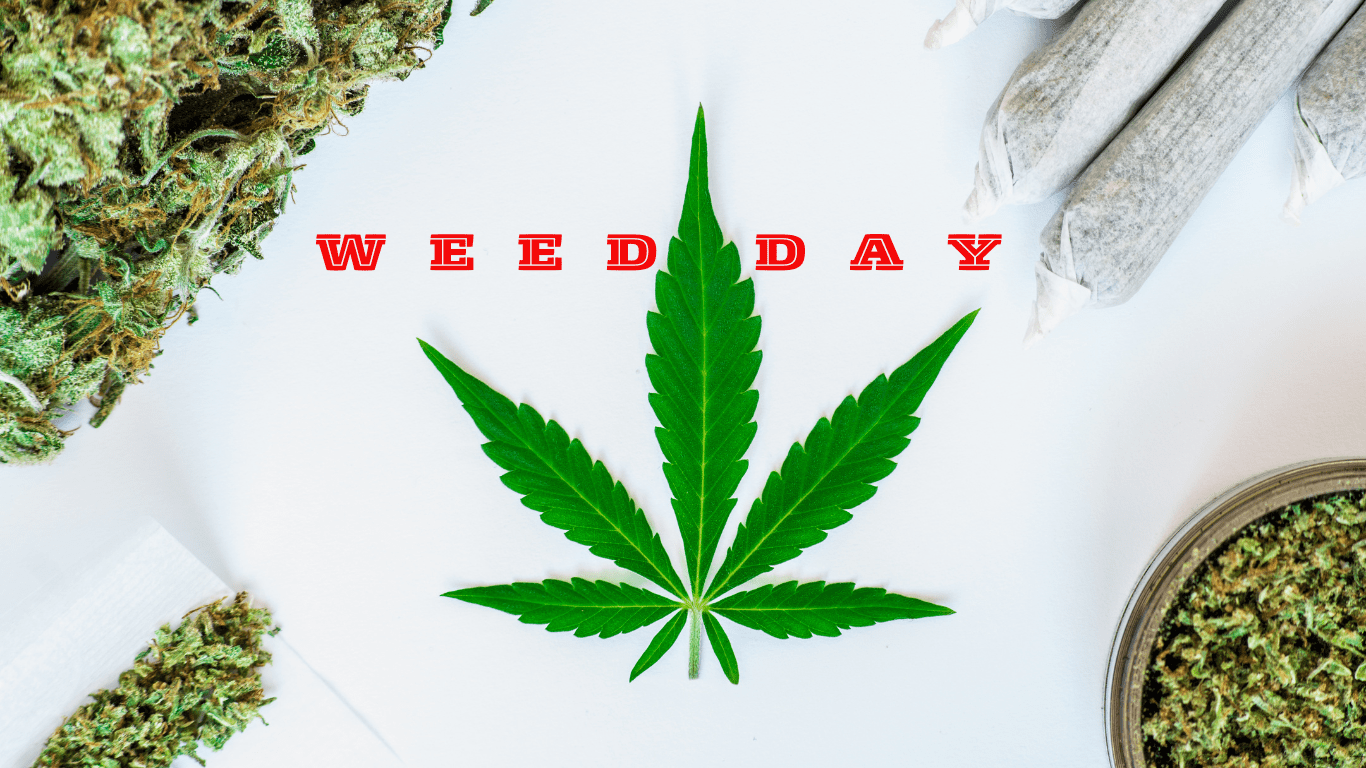 The Story Behind 4/20: Tracing the Origins of the Cannabis Celebration