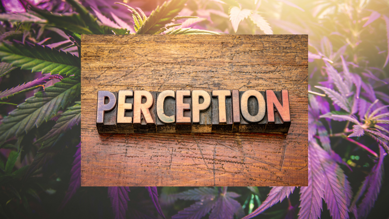 The Science Behind the High: Understanding Cannabis’s Effects on Perception