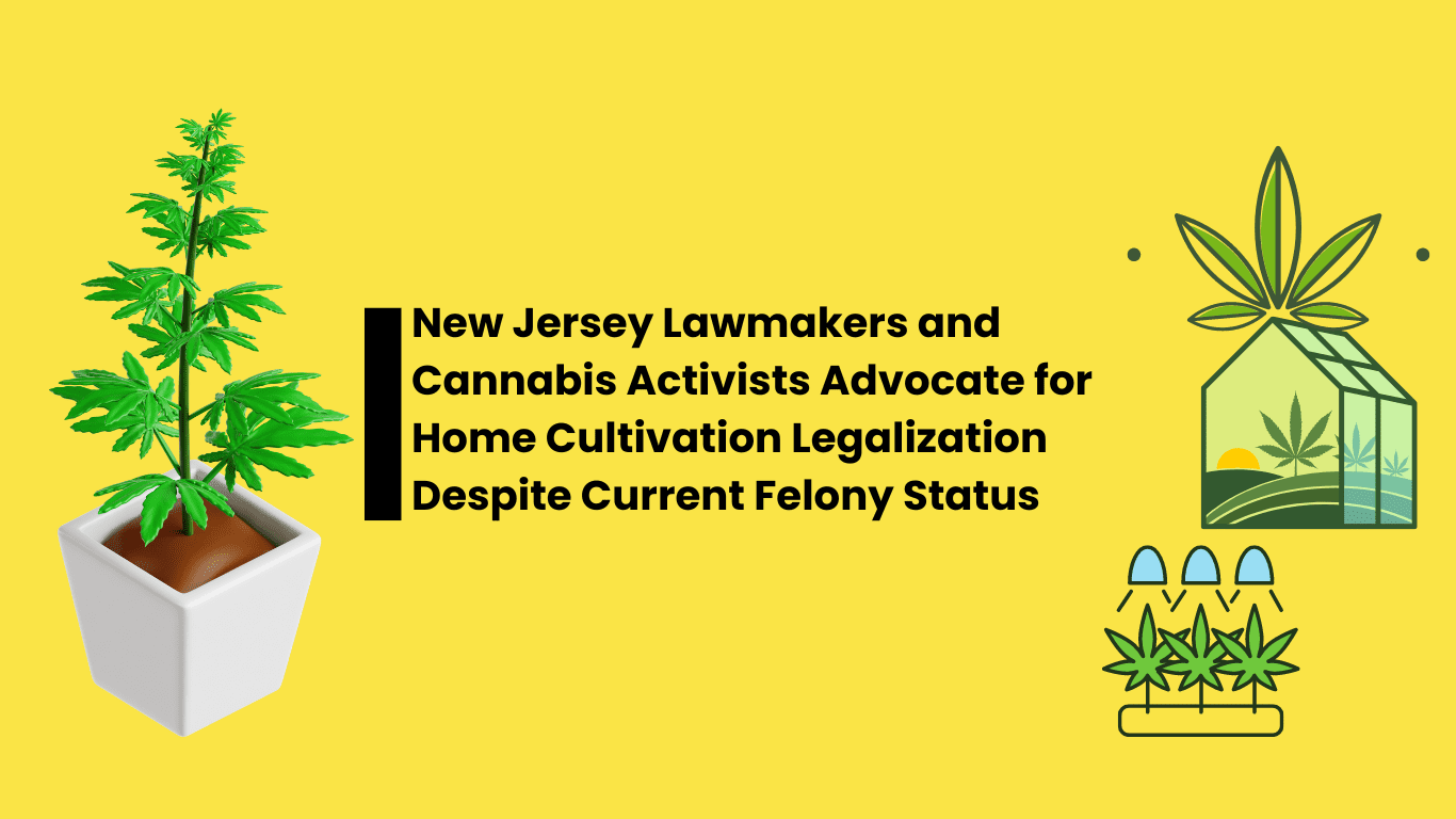 New Jersey Lawmakers and Cannabis Activists Advocate for Home Cultivation Legalization Despite Current Felony Status