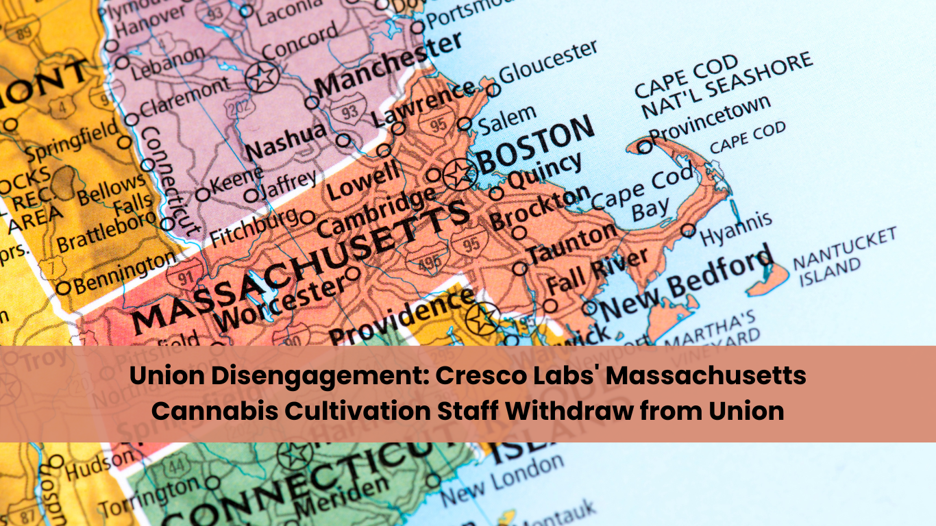 Union Disengagement: Cresco Labs’ Massachusetts Cannabis Cultivation Staff Withdraw from Union