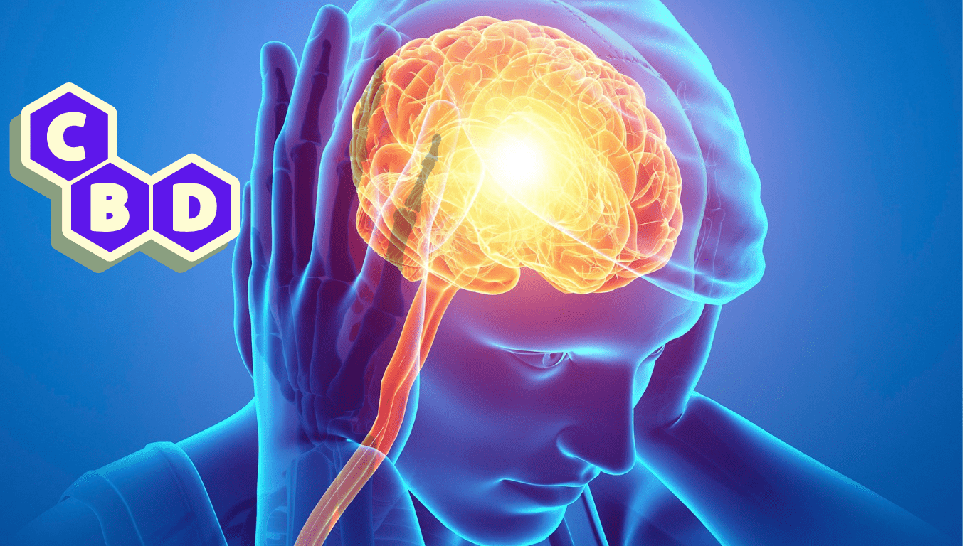 Exploring the Potential of CBD and THC in Migraine Management