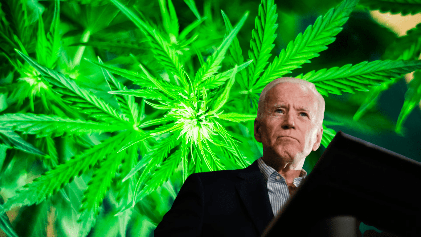 Biden Campaign Criticizes Trump Administration’s Cannabis Policy Reversal