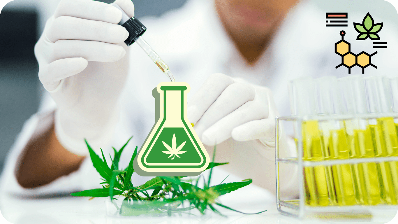 Landmark Case: Supreme Court Reviews Trucker’s Termination Over THC Test Linked to CBD Use