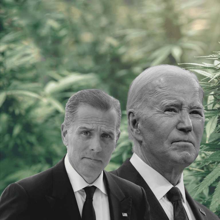 My Sobriety Hall Pass: Endorsing Hunter Biden for President