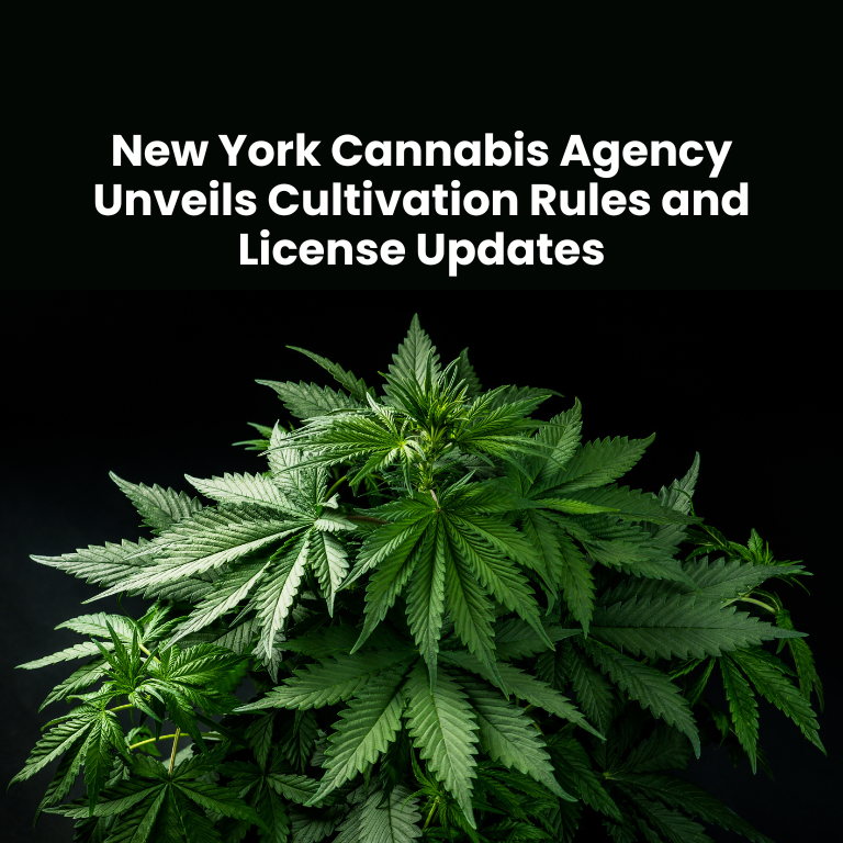 New York Cannabis Agency Unveils Cultivation Rules and License Updates