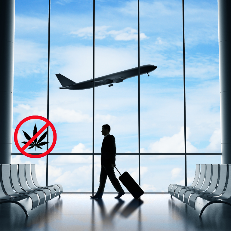 Can You Travel with Cannabis at Denver International Airport?