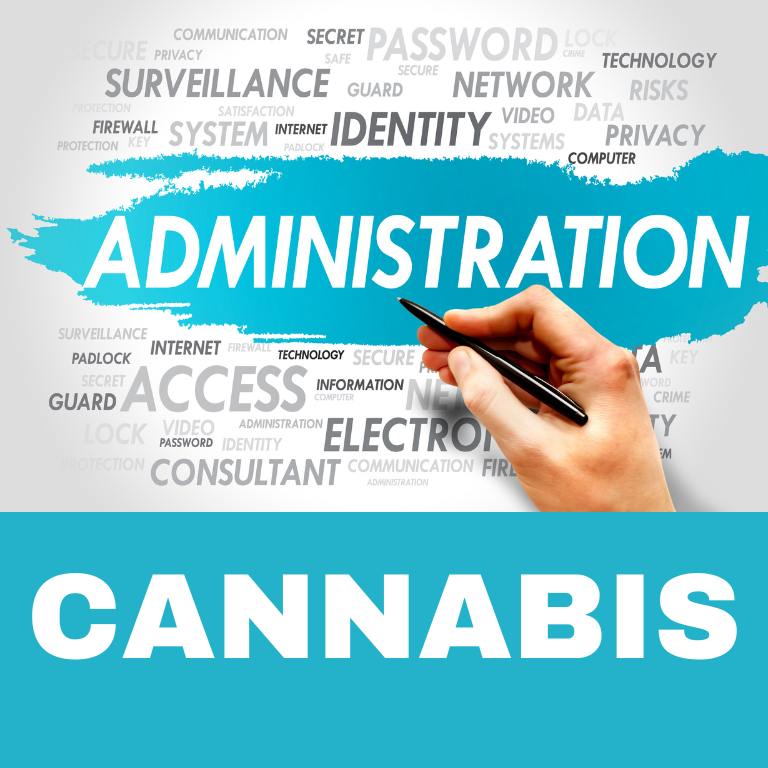 Democratic Party Highlights Biden’s Cannabis Reforms in 2024