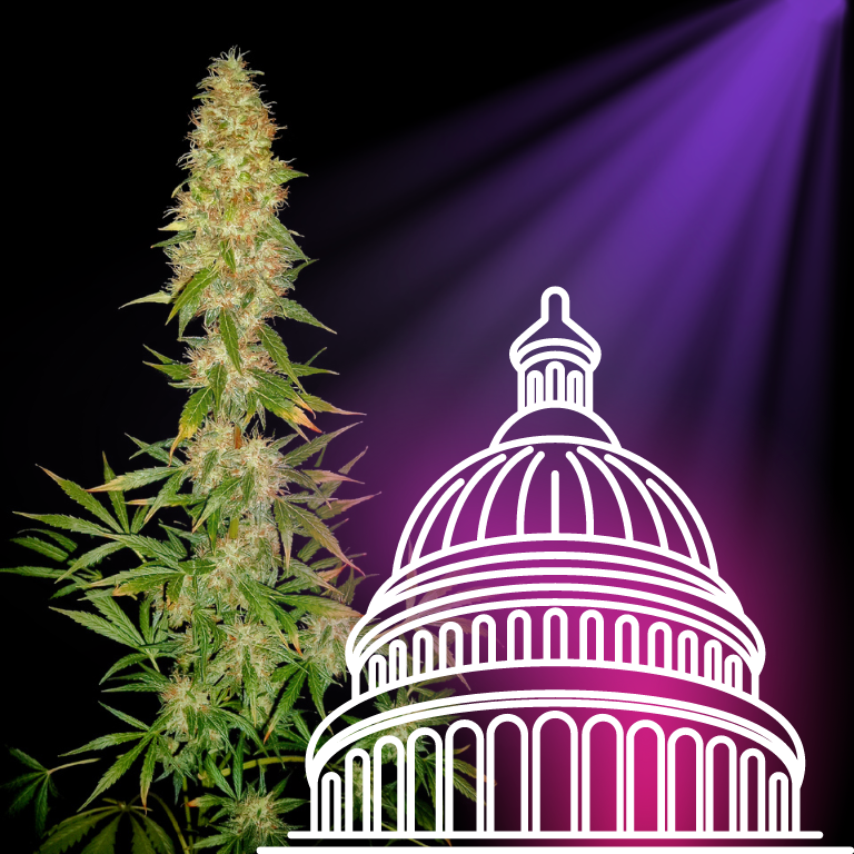 Federal Report Explores Enhancing Cannabis and Hemp Testing