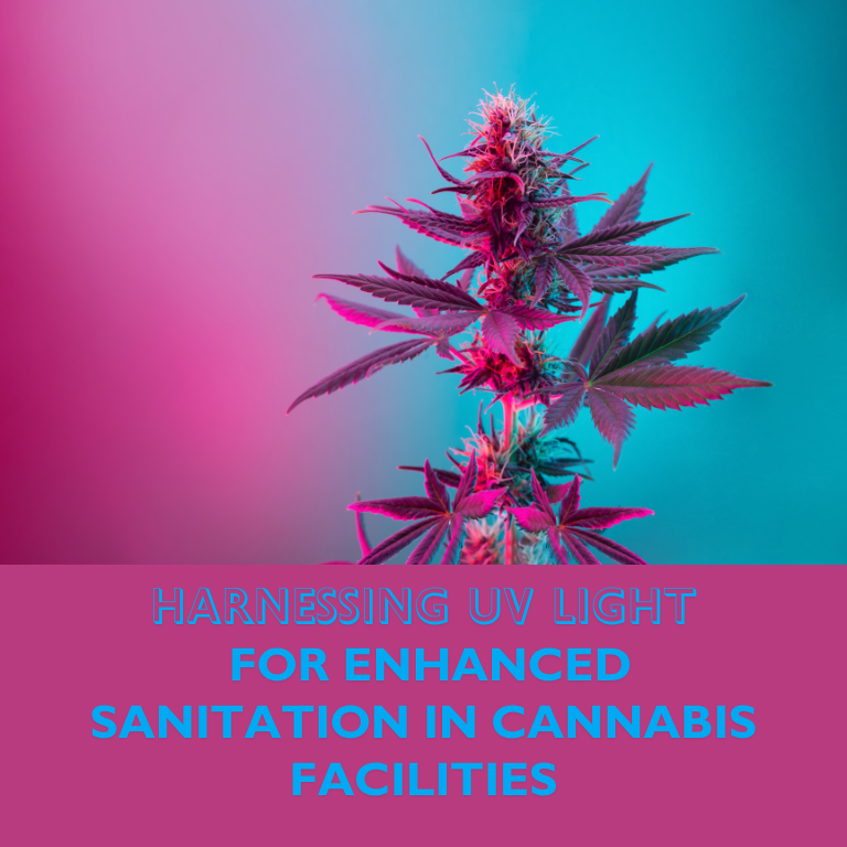 Harnessing UV Light for Enhanced Sanitation in Cannabis Facilities