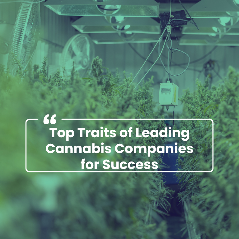 Key Success Factors for High-Performing Cannabis Companies