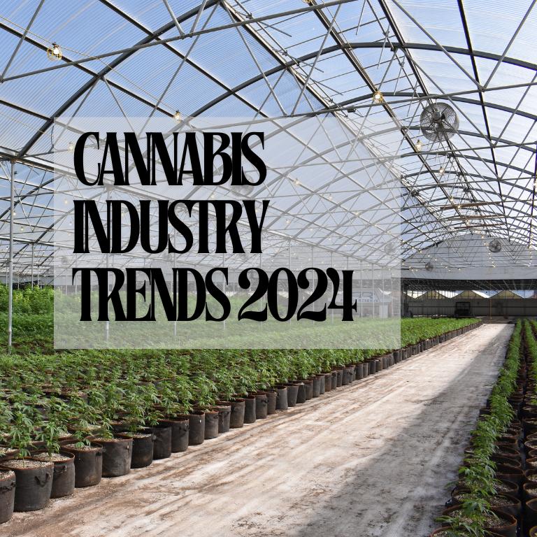 2024 Cannabis Market Forecast: Trends and Investment Strategies