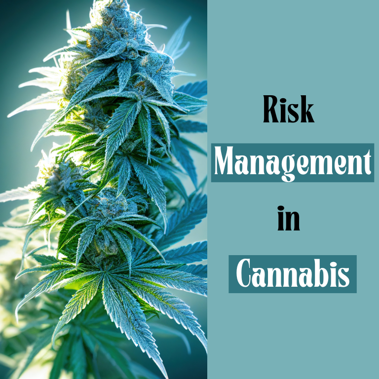 Safeguarding Cannabis Operations: Effective Natural Disaster Risk Management
