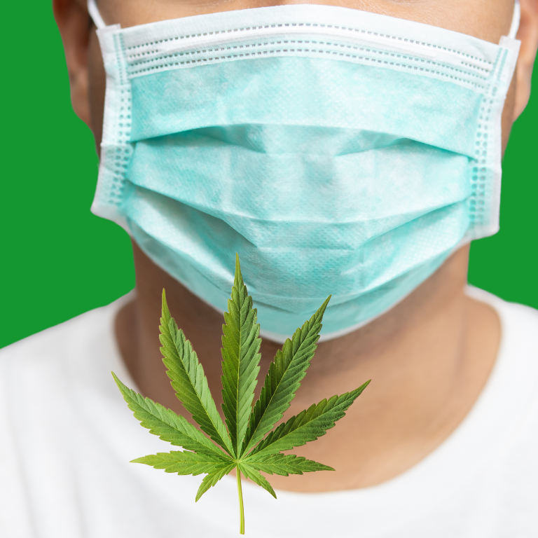 Enhancing Hygiene in Cannabis Production: RAD Systems Explained