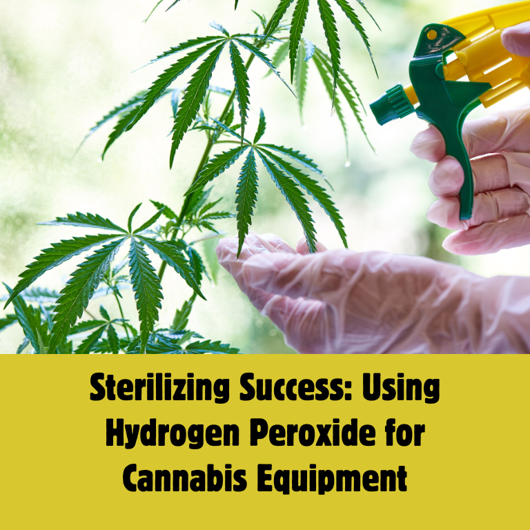 Hydrogen Peroxide: A Key to Clean Cannabis Operations