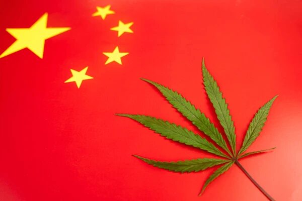Washington State Officials Expose Chinese Nationals in Illegal Cannabis Operation